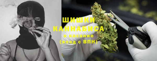 винт Няндома