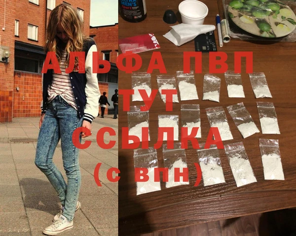 винт Няндома