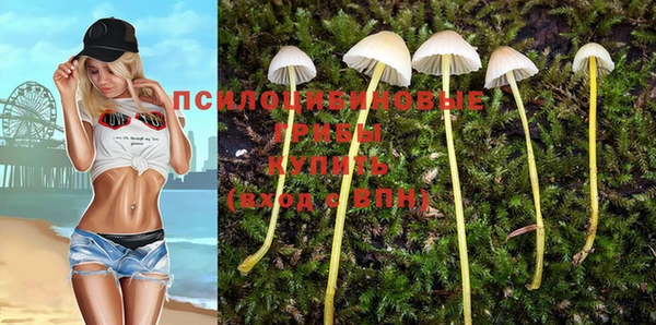 винт Няндома