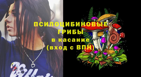 винт Няндома