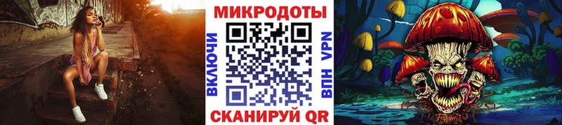 наркошоп  Кизел  Галлюциногенные грибы Psilocybine cubensis 